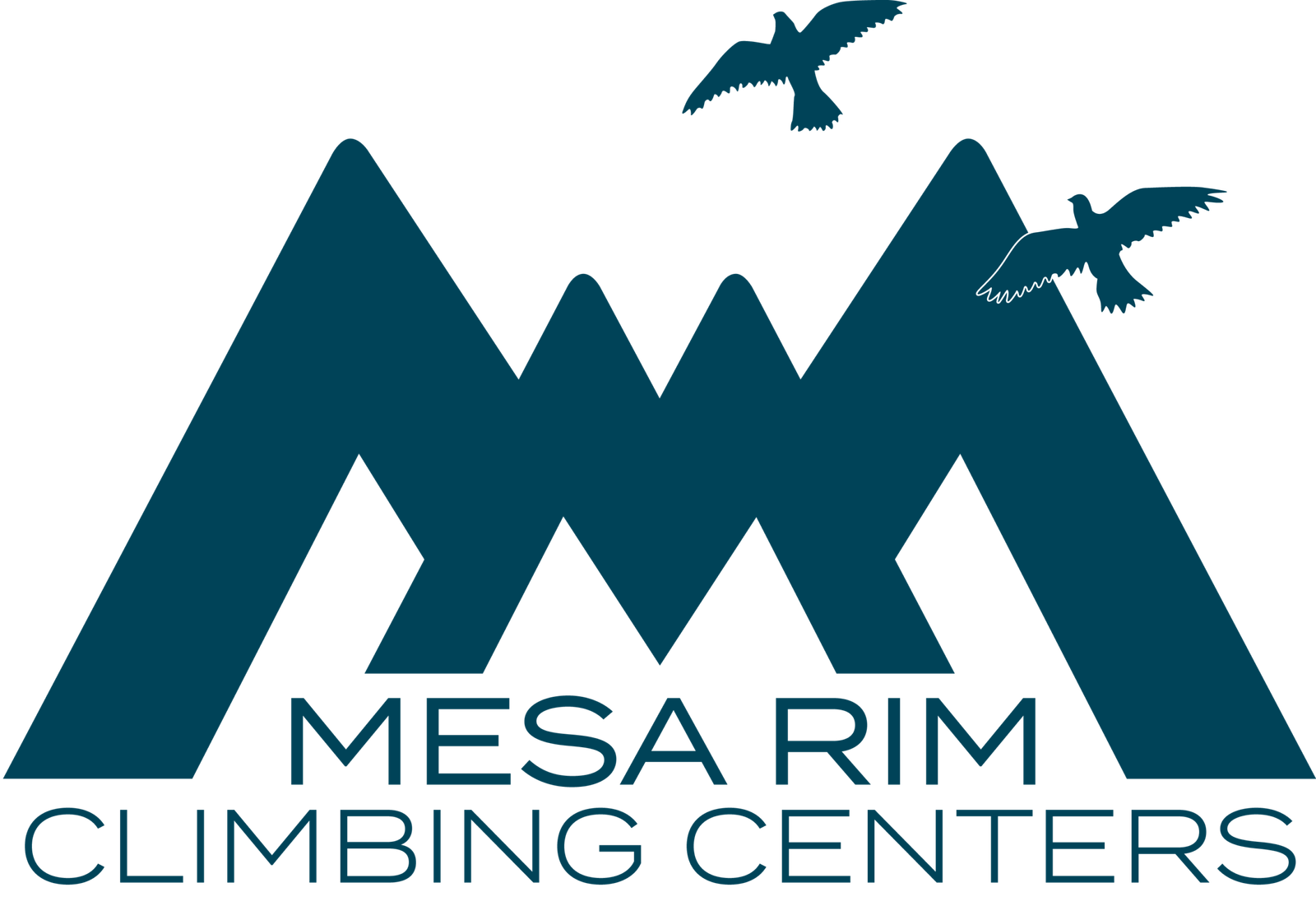 Mesa Rim logo